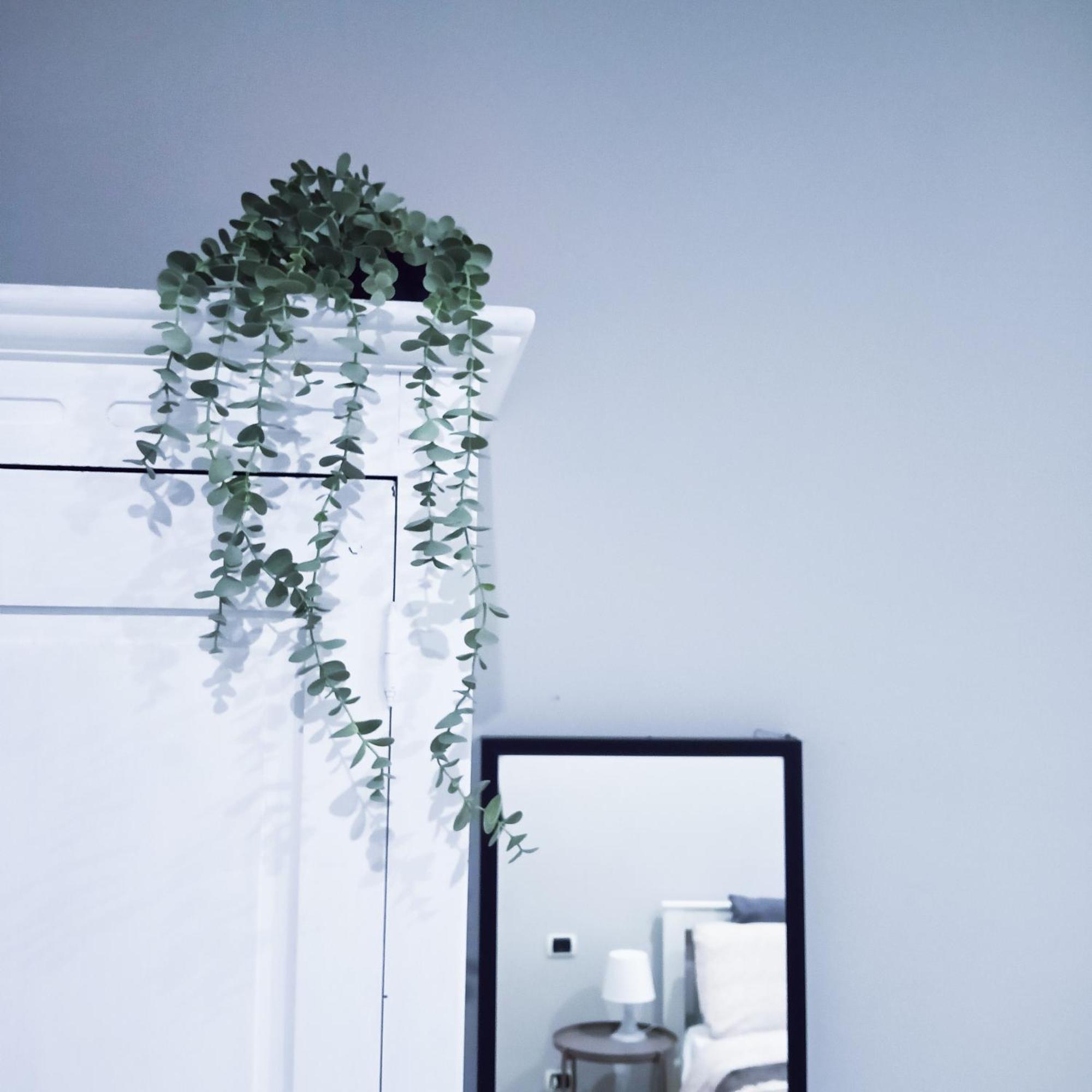 Candia Sweet Home Roma Dış mekan fotoğraf