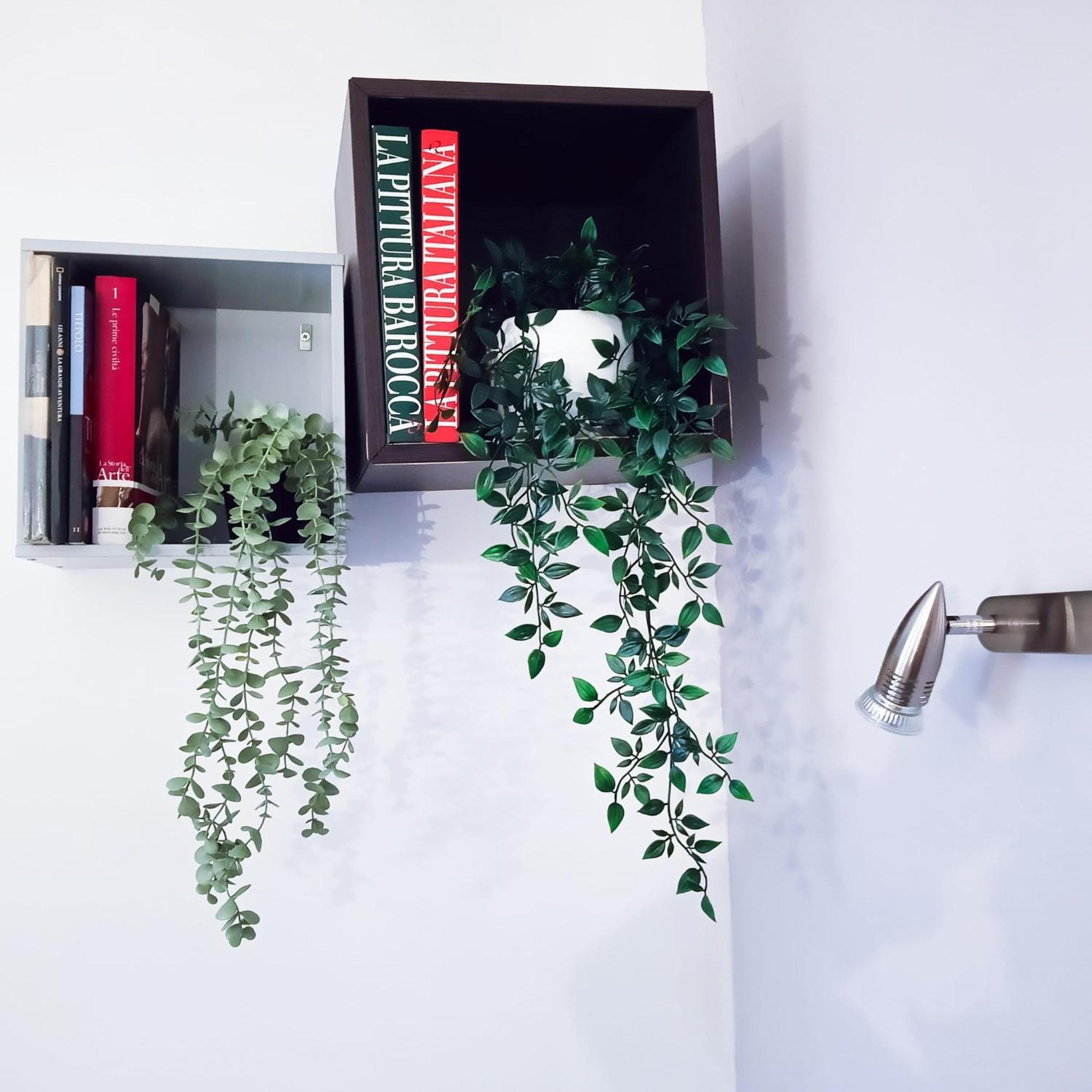 Candia Sweet Home Roma Dış mekan fotoğraf